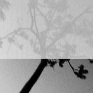 Cover art for Forage