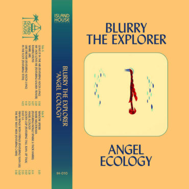 Cover art for Angel Ecology