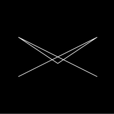 Cover art for Everyone Was A Bird Remixed