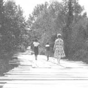 Cover art for Shirley-Inspired