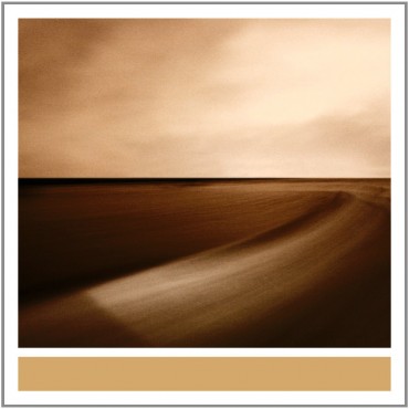 Cover art for Small Craft on a Milk Sea (2010)