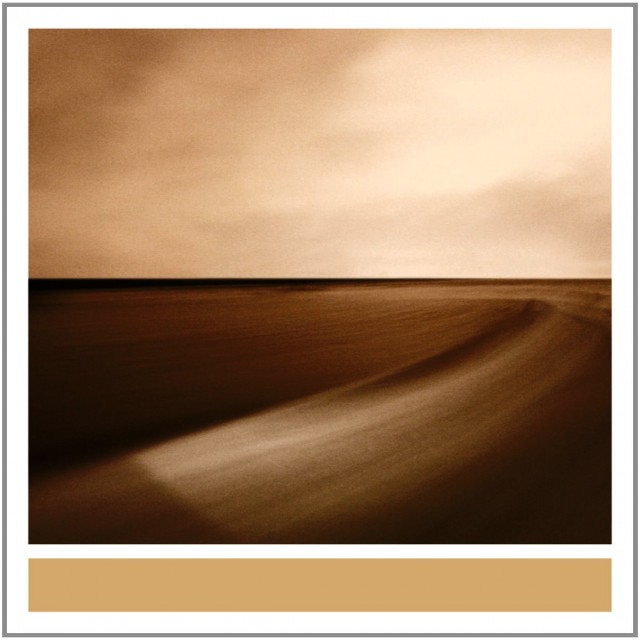 Cover art for Small Craft on a Milk Sea (2010)