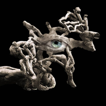 Cover art for БОГРУКИНОГ